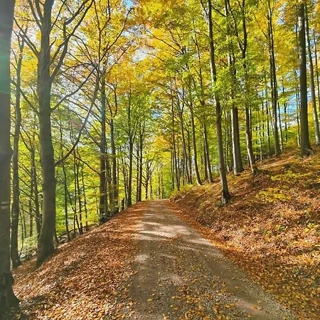 Emotion Prázdninový dům *