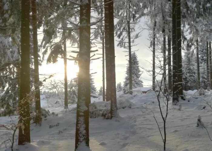 Tatil Evi Emotion Suhl