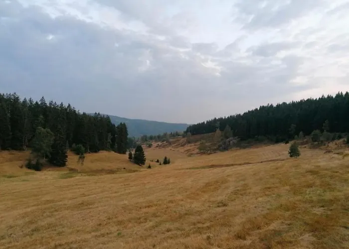 Tatil Evi Emotion Suhl