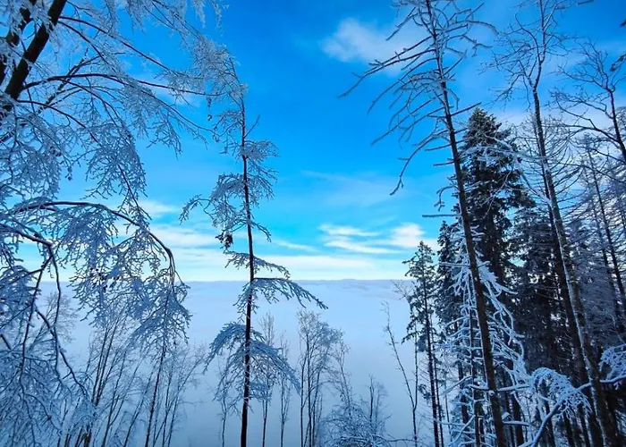 Emotion Tatil Evi Suhl